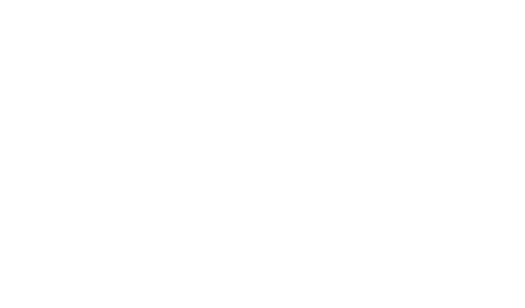 Quantic Solutions Logo